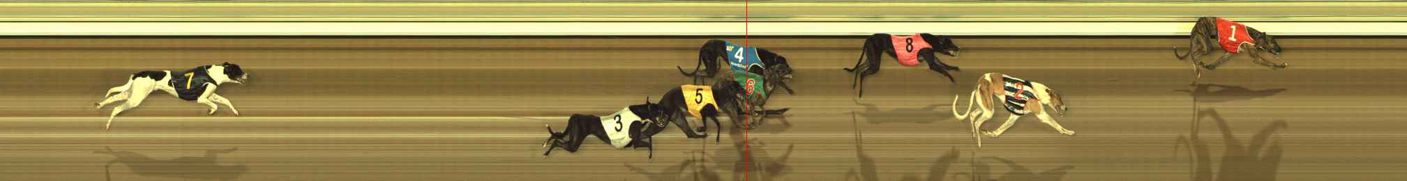 Race result finish photo